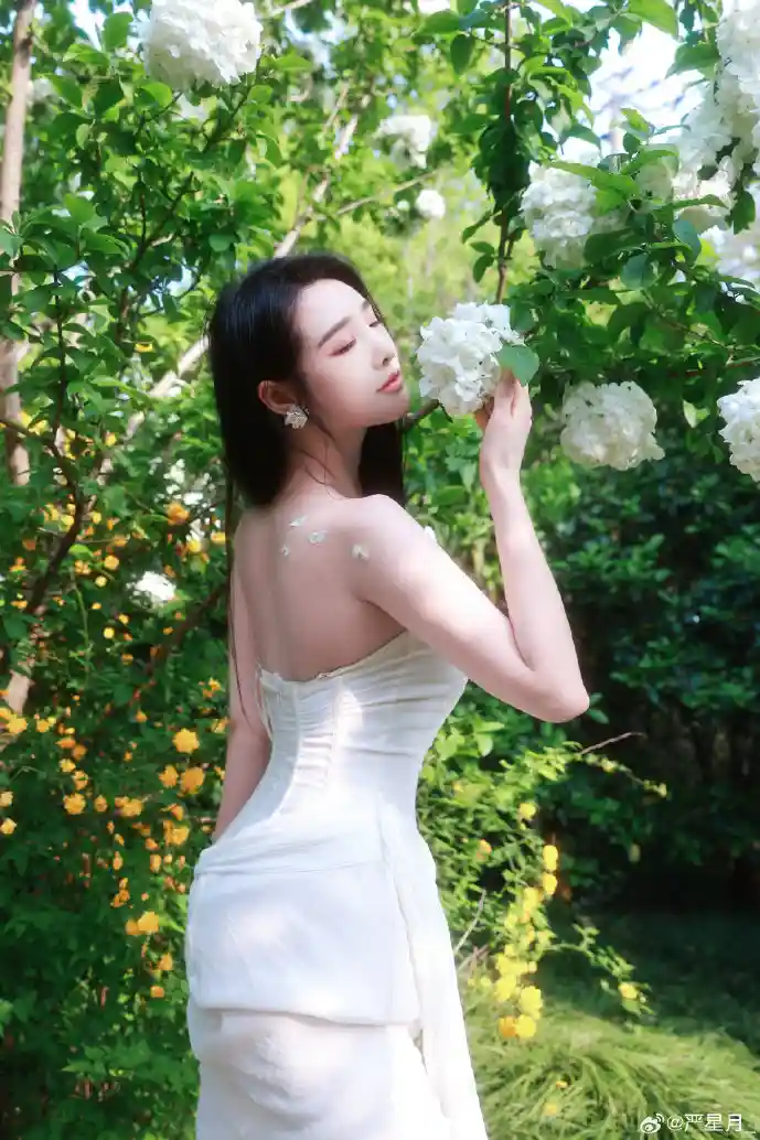 星际航行示意图